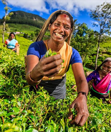 ca-srilankans